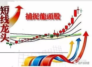 炒股如何找热点龙头股票 炒股如何找热点龙头股票