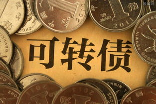 发行可转债如何申购股票