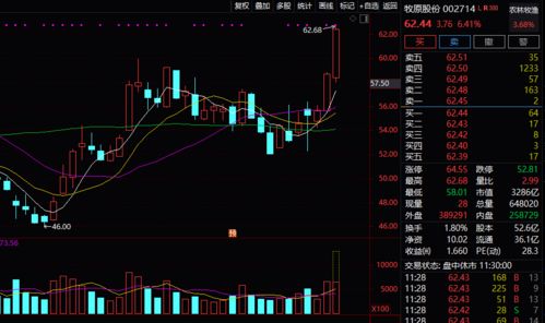 证券股怎么突然涨了 证券股怎么突然涨了