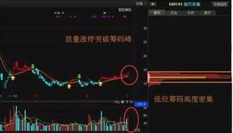 股票如何成为股神股票