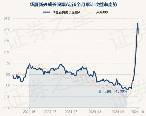 中国股票如何选购新股票