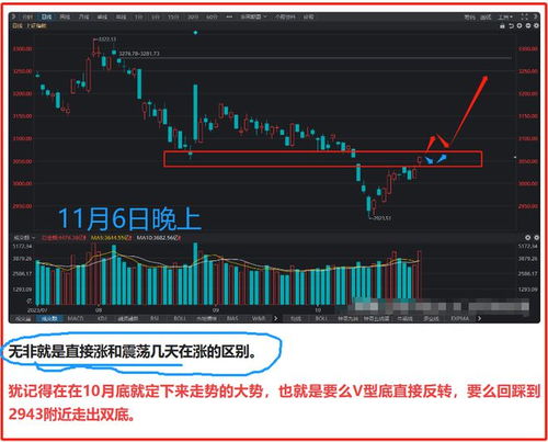 股票如何看跌涨