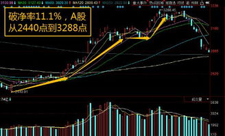 如何看待股票破净