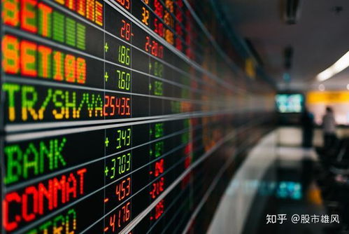 证券从业者炒股怎么样