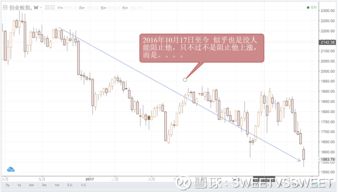 如何投资个人股票