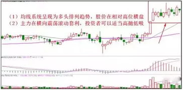 如何看股票共持有多少手 如何看股票共持有多少手
