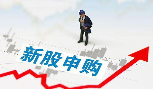 中新股后如何退钱买股票