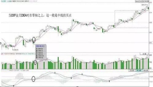 持有一个股票如何分红 持有一个股票如何分红