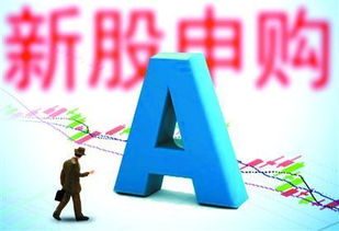 2016如何申购新股票 2016如何申购新股票