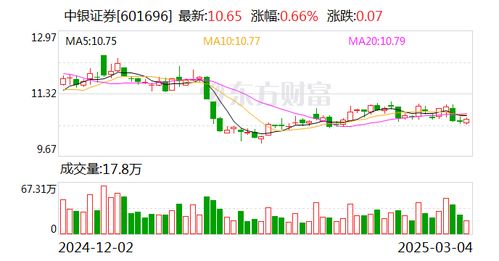 股份公司如何发行股票