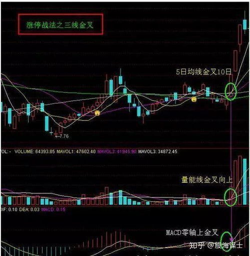 如何识别市场龙头和股票