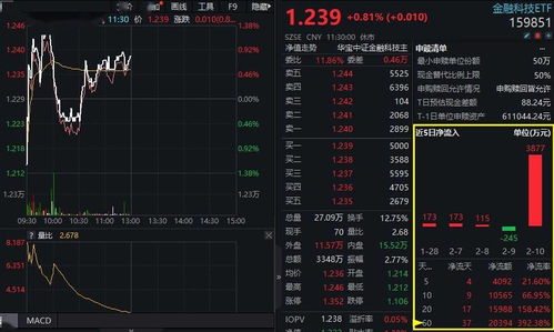 长江证券怎么看涨停板