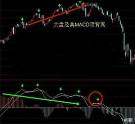 如何看股票正确率高低