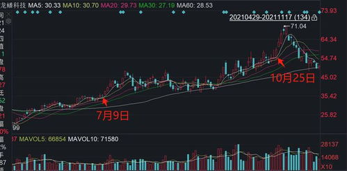 公司如何内部发行股票 公司如何内部发行股票