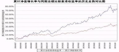 如何看股票历史增长率图