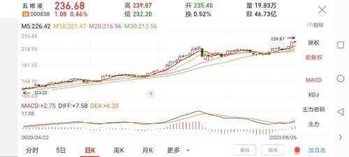 普通投资者如何借出股票 普通投资者如何借出股票