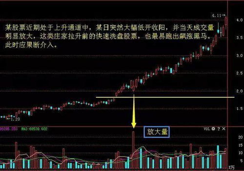 股票如何选股成功案例