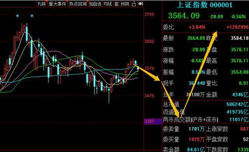 会操作股票如何能进基金