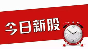 浙商证券怎么申请