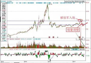 收盘后如何整理龙头股票 收盘后如何整理龙头股票