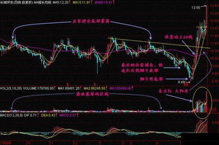 如何找到涨停股票形态