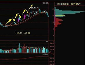 股票如何保护投资者