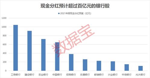 证券股怎么分红