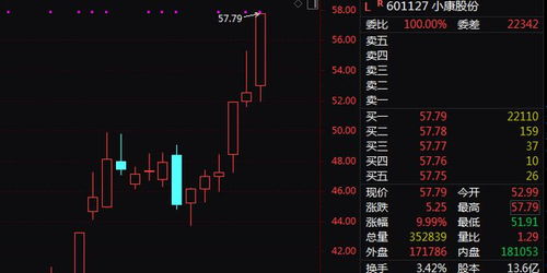 如何查看汽车股票