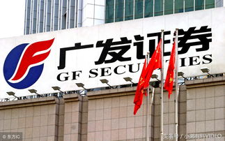光发证券公司怎么样