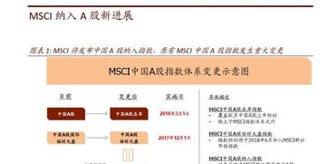 msci 如何购买股票 msci 如何购买股票