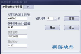 证券价值怎么设置