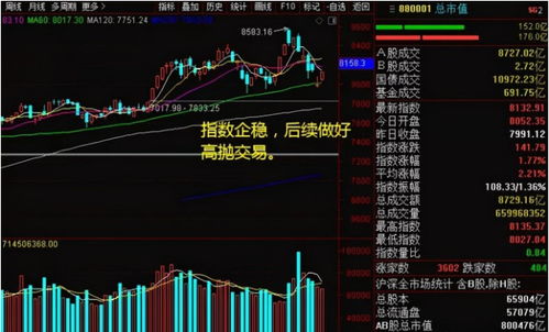 如何看待股票连续上涨