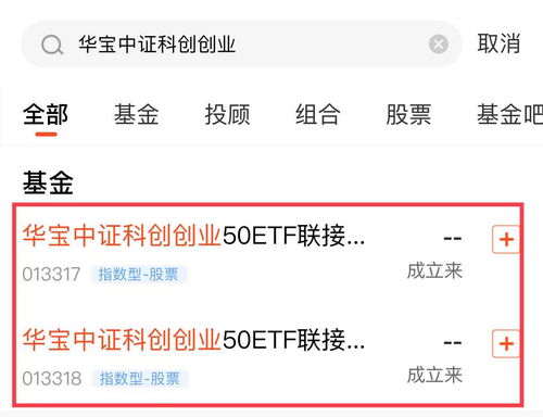 华宝证券怎么创业