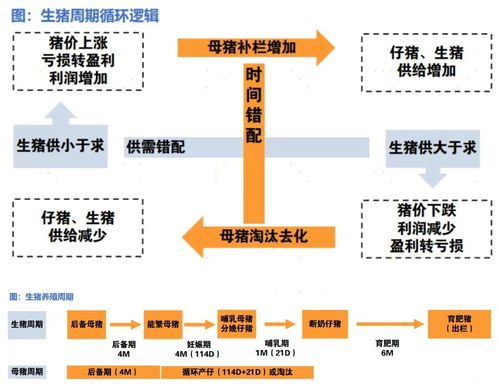 证券行业怎么致富
