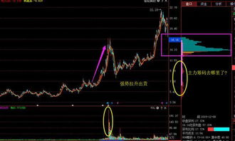 如何找出股票的主力流向 如何找出股票的主力流向