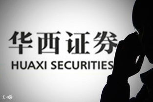 华西证券怎么中新股