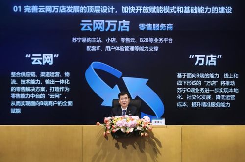 苏宁易购股票未来如何走