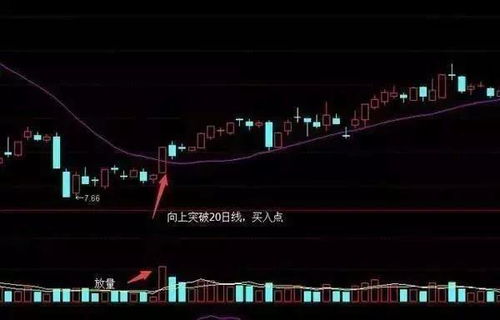 如何参加股票大宗交易会