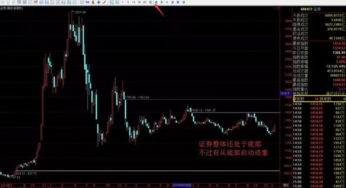 如何才能买到龙头股股票