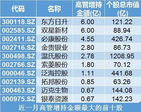 高管如何看待股票风云榜