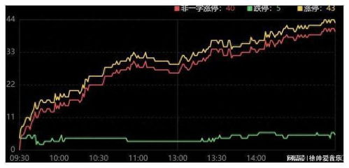阳光证券怎么购买股票