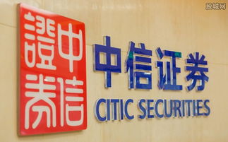中信证券号怎么查