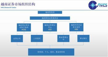 怎么代理越南证券
