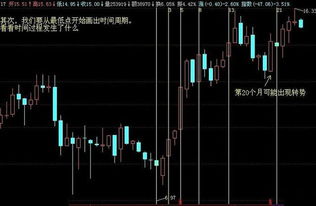 股票分析如何使用
