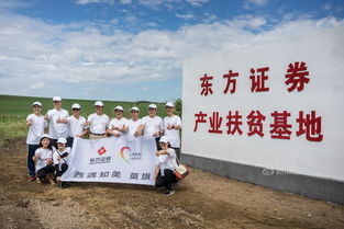 东方证券成都公司怎么样