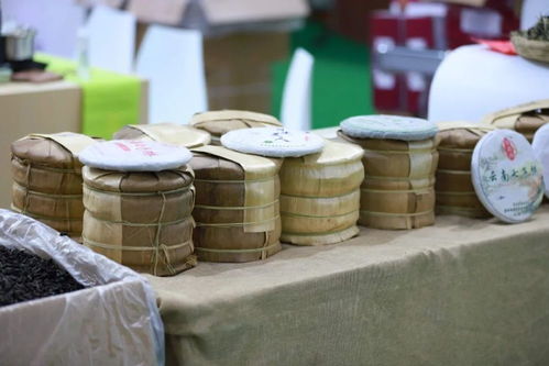 如何炒茶股票