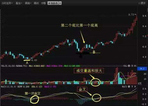 如何看懂股票成长指标