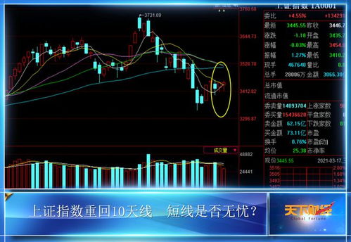 创业板股票今天如何
