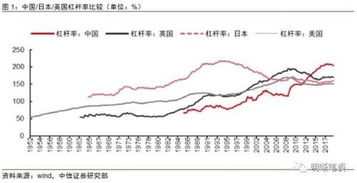中银证券杠杆利率怎么查