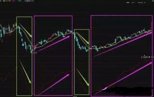 股票如何看到收益的 股票如何看到收益的